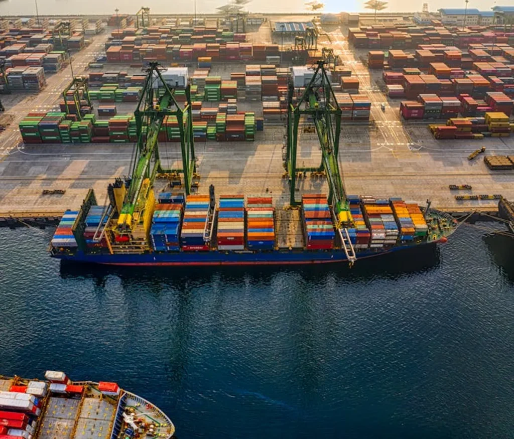 How to Export Rank Tracking Reports