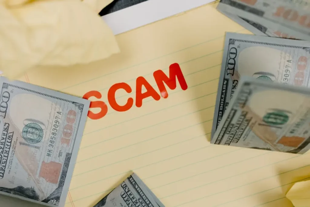 MagVistaNow Scam or Legit? What Users Should Check